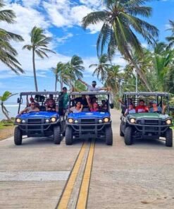 Um Dia de Aluguel de Carro/Scooter